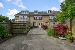 Tormentil 5 Castricum De Groot 20.JPG